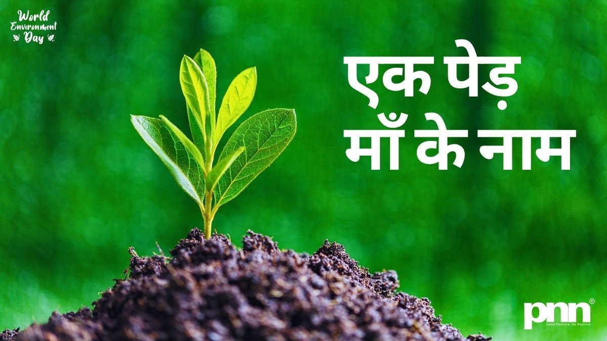 Tree-Plantation-Drive-Under-Ek-Ped-Maa-Ke-Naam-on-World-Environment-Day