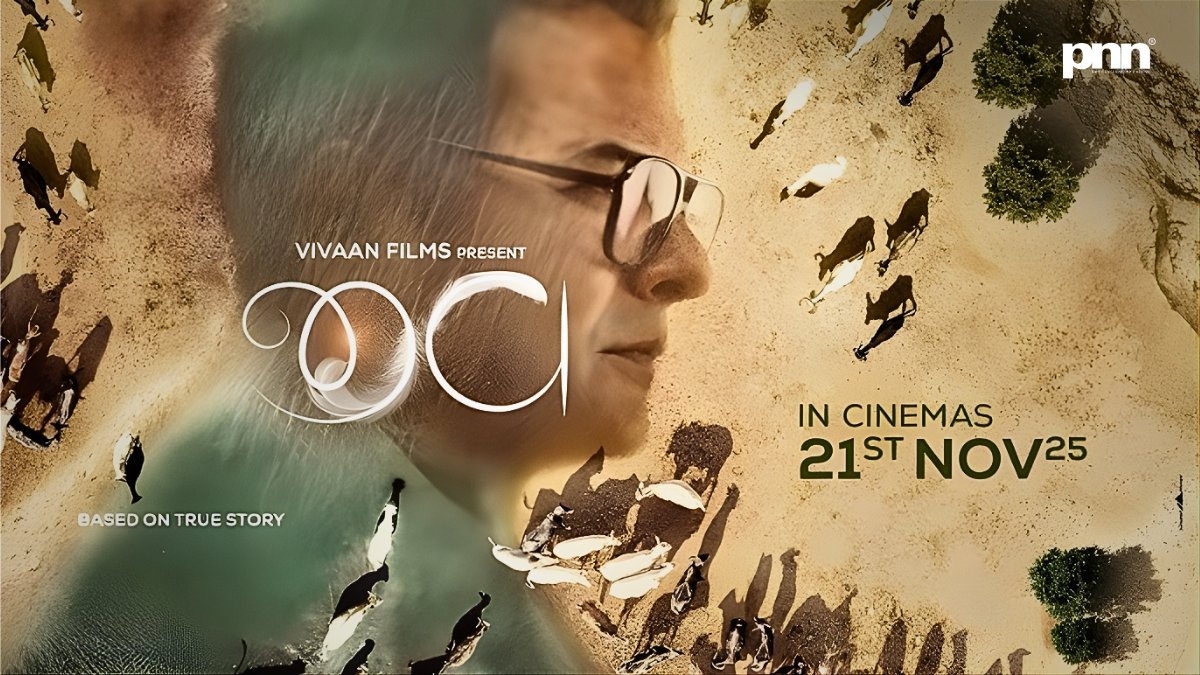 PNN-2025-11-22T124912665