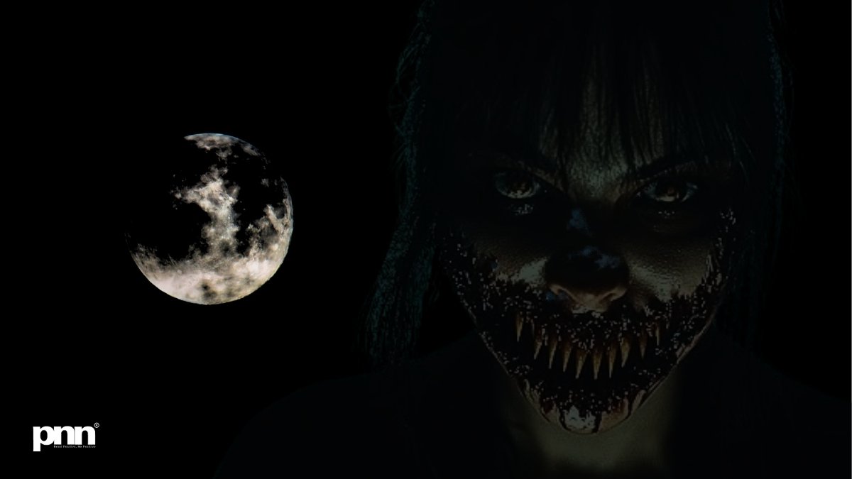 PNN-2025-11-29T193015933