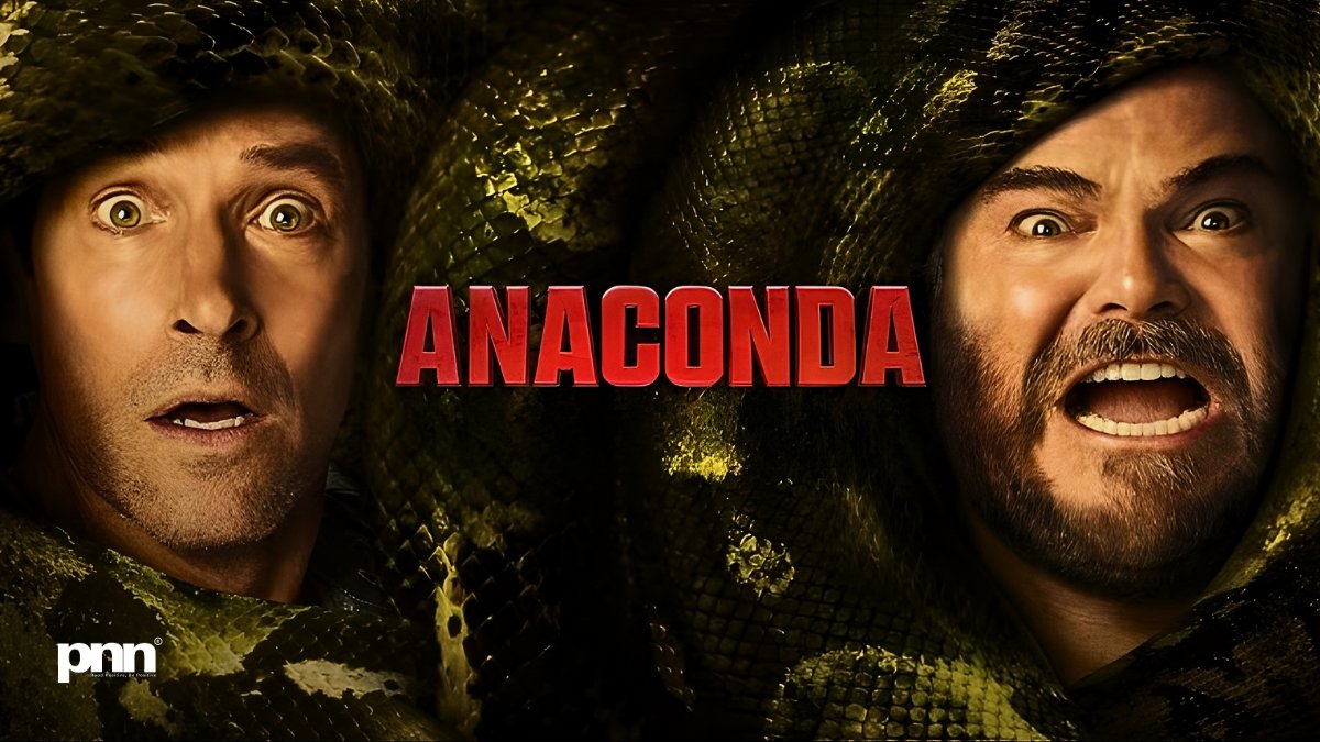 PNN-2025-12-25T155154250