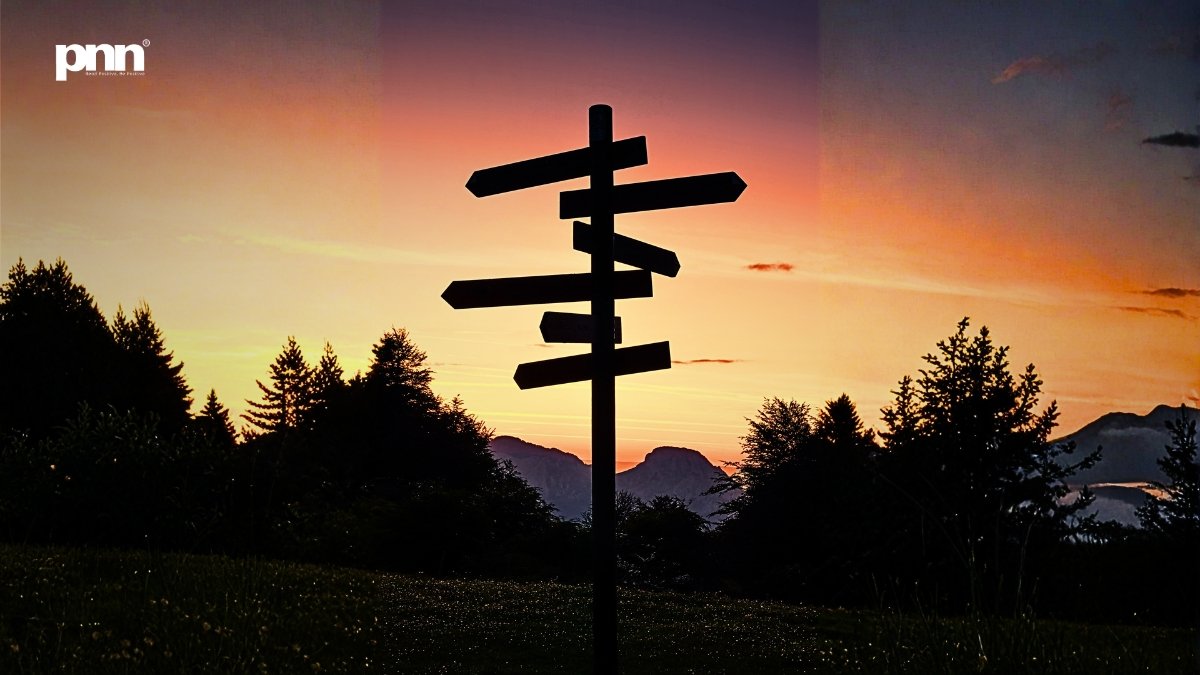 PNN-2026-01-05T131620257