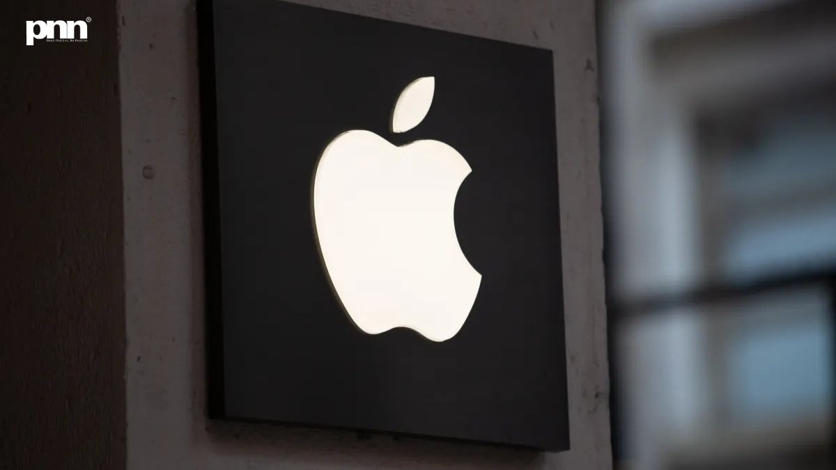 PNN-2026-01-24T113258734