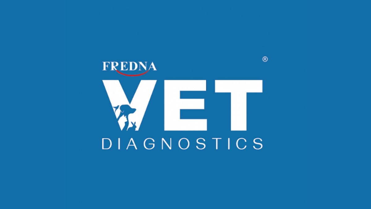 PNN-2026-06-15T154816.057